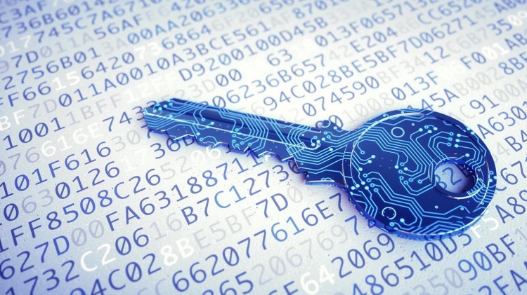Protecting the Data We Collect Is Top Priority
