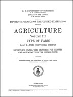 Report cover