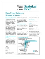 Statistical Brief: Black-Owned Businesses: Strongest in Services