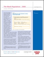 Census 2000 Brief: The Black Population: 2000