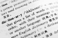Dictionary