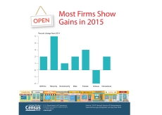 Annual Survey of Entrepreneurs_10