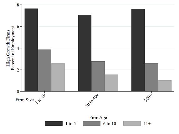 Figure 3. High-Growth Firms by Firm Size and Firm Age