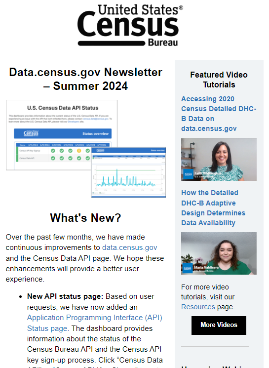 Newsletter Summer 2024