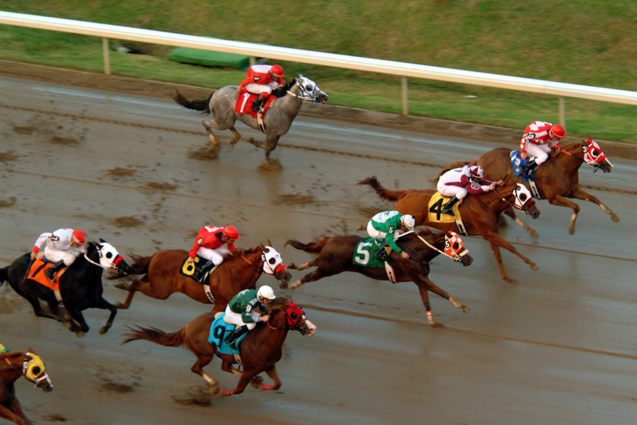 Horses and their riders racing on a track.
