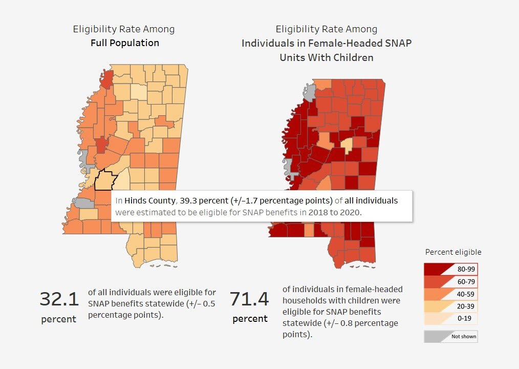 A Demographic Portrait of SNAP in Select States- Mississippi