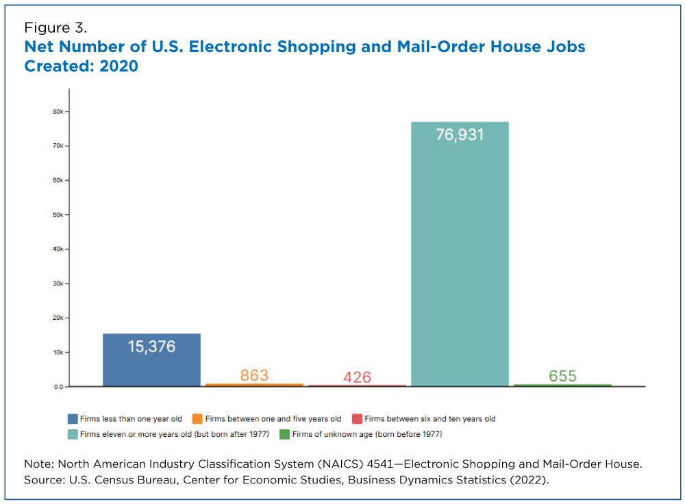 Figure 3. Net Number of U.S. Electronic Shopping and Mail-Order House Jobs Created: 2020