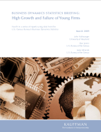 bds-statbrief3-high-growth-failure