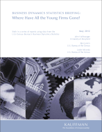 bds-statbrief6-young-firms