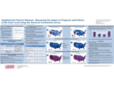 Measuring the Impact of Programs and Policies at the State Level Using the ACS