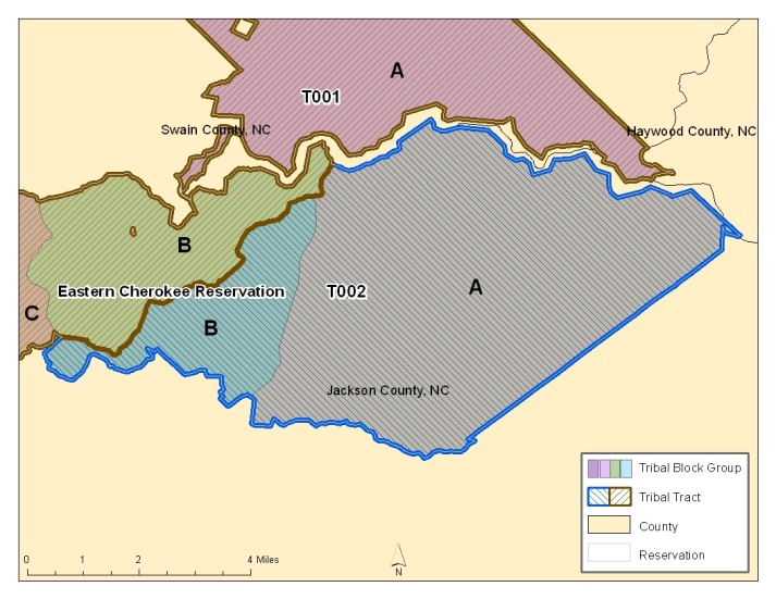 A map showing state-county-tract block groups